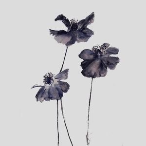 Meet your Posher, Amelia